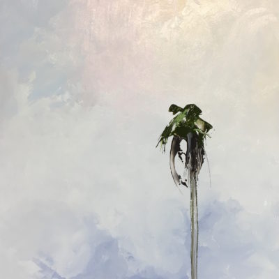 Lone Palm