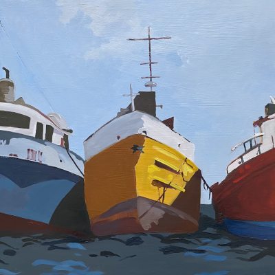 Fishing fleet in Saint George's Grenada