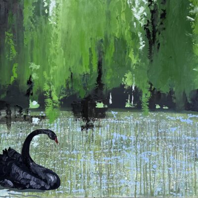 Lakelands Remembered