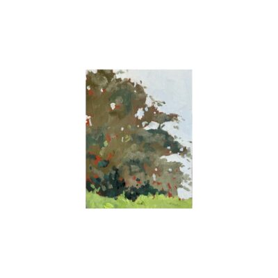 Spring series 10