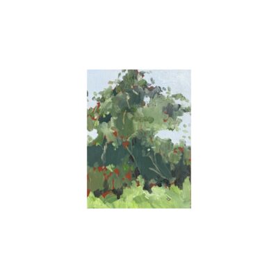 Spring series 11