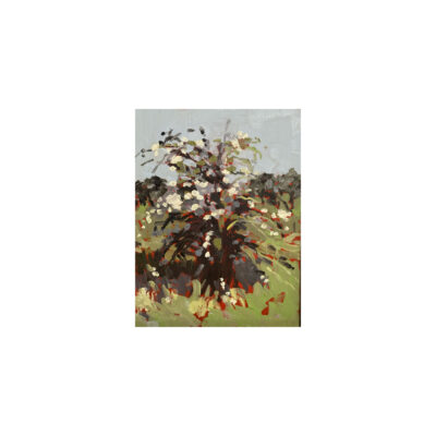 Spring series 12