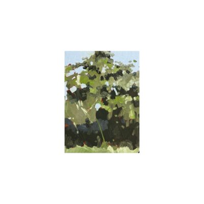 Spring series 13