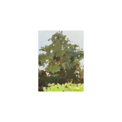 Spring series 14