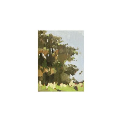 Spring series 2