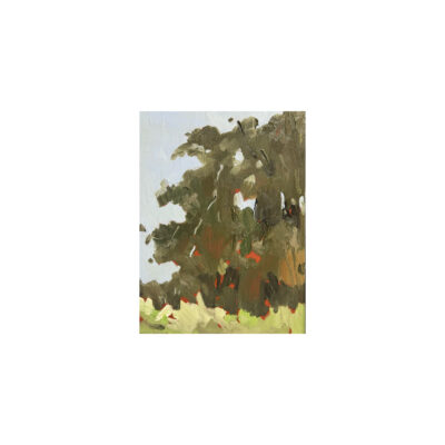 Spring series 3