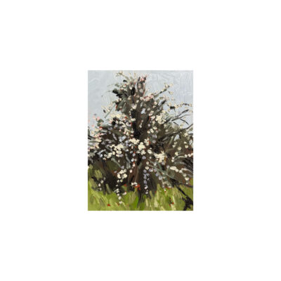 Spring series 4