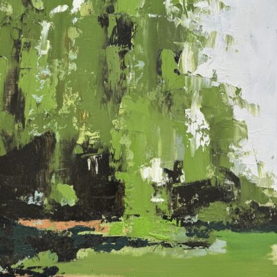 Willows in Morning Light 2