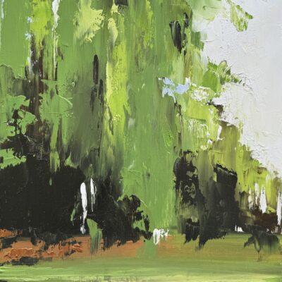 Willows in Morning Light 3